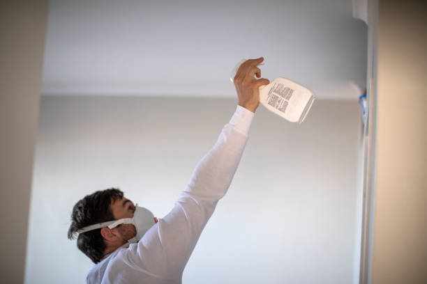 Best Office Mold Removal Services  in Elmira Heights, NY